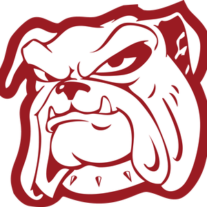 Fundraising Page: Skye B